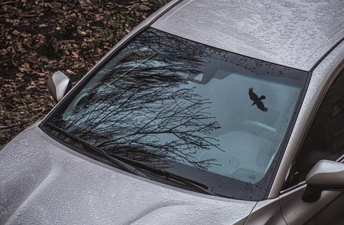 Как правильно выбрать автостекло при замене лобового: советы профессионалов